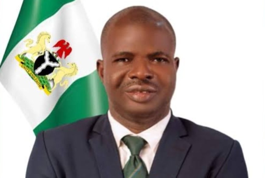 Ebonyi State: We Don't Have Auxiliary Nurses in Our Hospitals, Says Nwifuru Aide