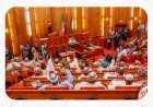 Senate Endorses Life Jail Term for Child Defilement