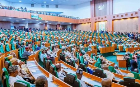 NASS Considering Holding Elelctions One Day, Says Rep Speaker