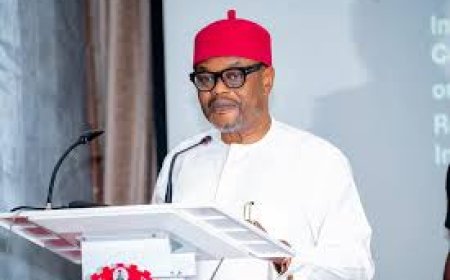 Tinubu’s Minister, Nnaji, in Certificate Scam as UNN Denies Record of Degree