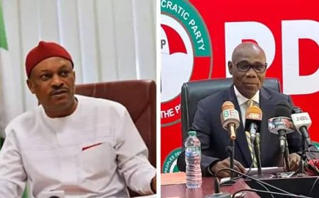 PDP Crisis: Stop Misleading The Public With Fake Information, Anyanwu Warns Ologunagba