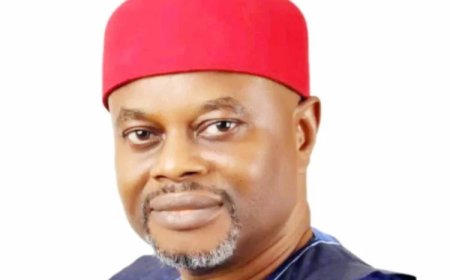 Presidency to Act on Minister Nnaji’s Alleged Certificate Scam After Court Verdict, Says Onanuga