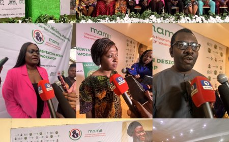 Cross River Partners FMOH, Others to Reduce Maternal, Neonatal Deaths through MAMII Initiative