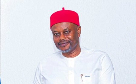 Tinubu Minister, Nnaji, Resigns Amid Certificate Scam