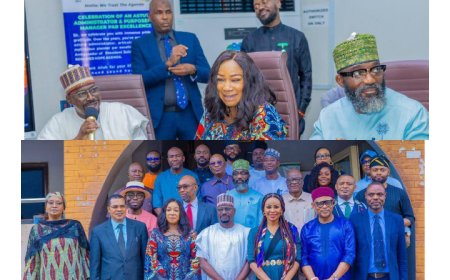 SSDC, REA Partner to Power South-South with Clean Energy