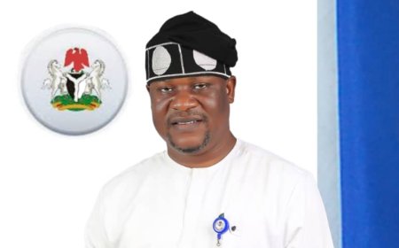 Public Utilities Must Be Protected from Vandals — Engr. Egbe