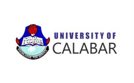 NO APPOINTMENT OF A NEW VICE CHANCELLOR YET