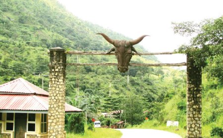 Cross River State's Obudu Ranch Resort to Get 5G Internet Boost