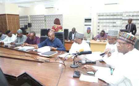 ASUU Confirms Talks With FG’s Team As Strike Enters Seventh Day
