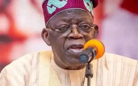 FG Targets 540MW Boost as Plans to Revive ALSCON Advance