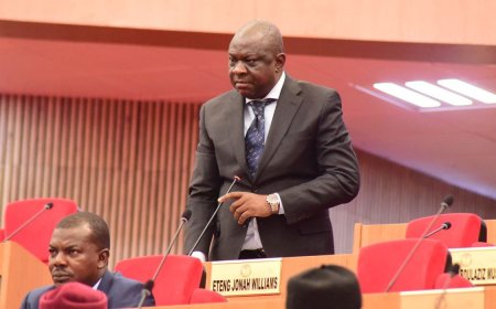 Senator Eteng Williams Proposes Bill to Establish Cocoa Research Institute in Ikom