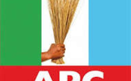 Tension In APC Over Plot To  Extend Tenure  of Executives