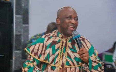 2027: Don't Waste Your Campaigns on S/West, Concentrate on South East, North- Primate  Ayodele Tells ADC