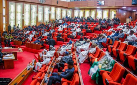 N’assembly Constitution Review Committee Okays Creation of New State in South-East