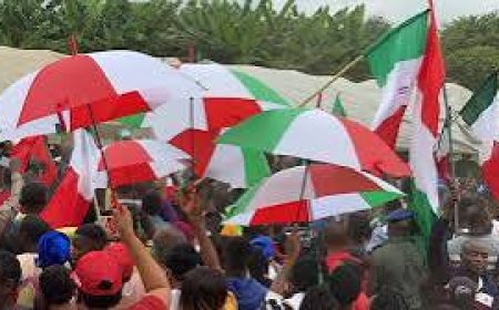 Over 20 PDP Lawmakers Threaten Defection Over Nomination of Gov Mba's Candidate As Woman Leader