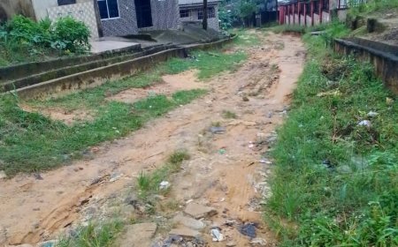 Calabar Residents Urge Gov Otu, NDDC to Rehabilitate Deplorable Road