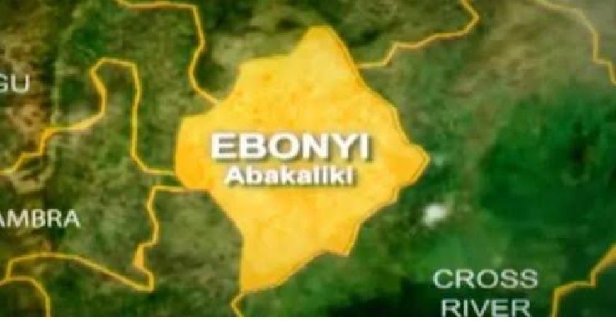 Ebonyi Gov't Cracks Down On Illegal Schools, Arrests 88 Proprietors