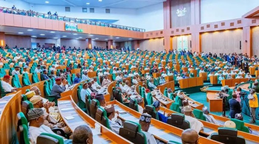 NASS Considering Holding Elelctions One Day, Says Rep Speaker