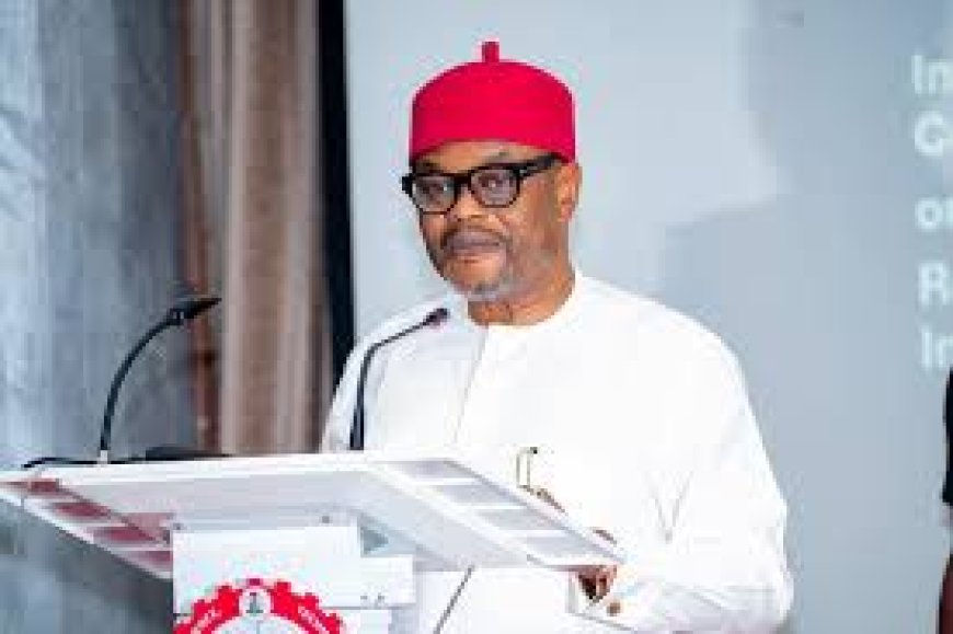 Tinubu’s Minister, Nnaji, in Certificate Scam as UNN Denies Record of Degree