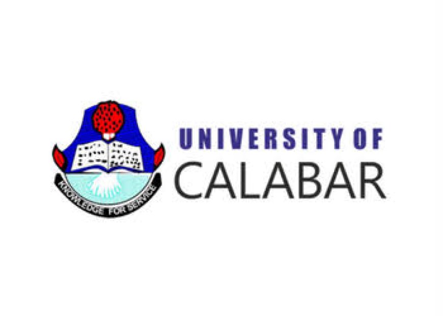 NO APPOINTMENT OF A NEW VICE CHANCELLOR YET
