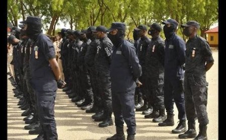 SSS Dismisses Over 100 Officers, Gives Reason.