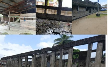 Features: 66 Years After Pinn Margaret School Calabar Rots Away In Neglect As Old Students Cry Out