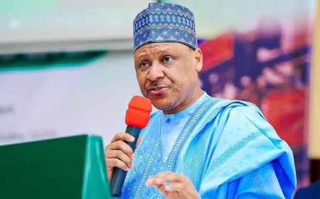 IDRIS FAULTS US DESIGNATION OF NIGERIA