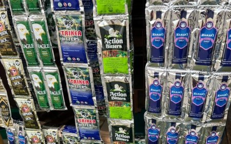 Senate Orders NAFDAC to Ban Sachet Alcohol Production by December 2025, Warn of Youth's Health Crisis, Addiction