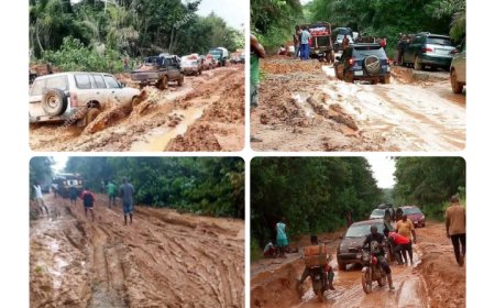 Boki: Forgotten Land Waiting for Its Turn in Cross River’s Development Story