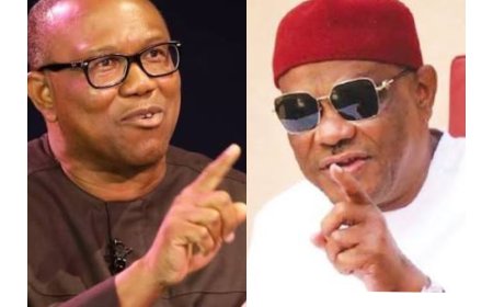 Wike, Naval Officer Clash:  Symptom of Institutional Decay - Obi