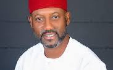 BREAKING: ‘Illegal convention cannot expel me’, Says Imo PDP chair
