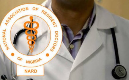 Strike: Resident Doctors Dismiss FG Claim of Addressing 19 Out of 20 Issues Raised