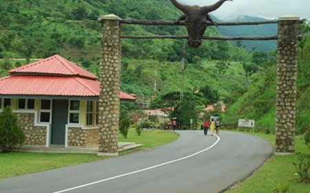 Obudu Mountain Resort Requires N200bn for Rehabilitation, Says It's Aide