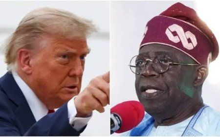 US Vows Closer Defence Cooperation as Nigeria Debunks Genocide Allegations