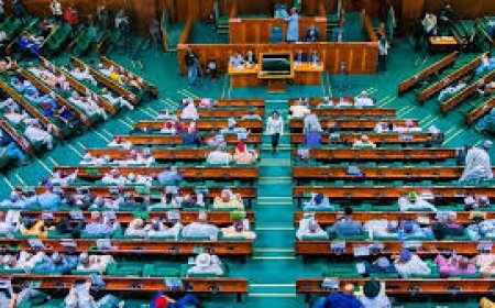 Rowdy Session in Senate Over Nigeria's Worsening Security Situation