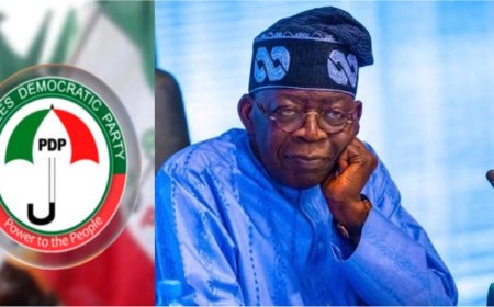 PDP Blasts Tinubu's Ambassadorial List, Says Most Nominees Are Disgraced Propagandists, Characterless Politicians