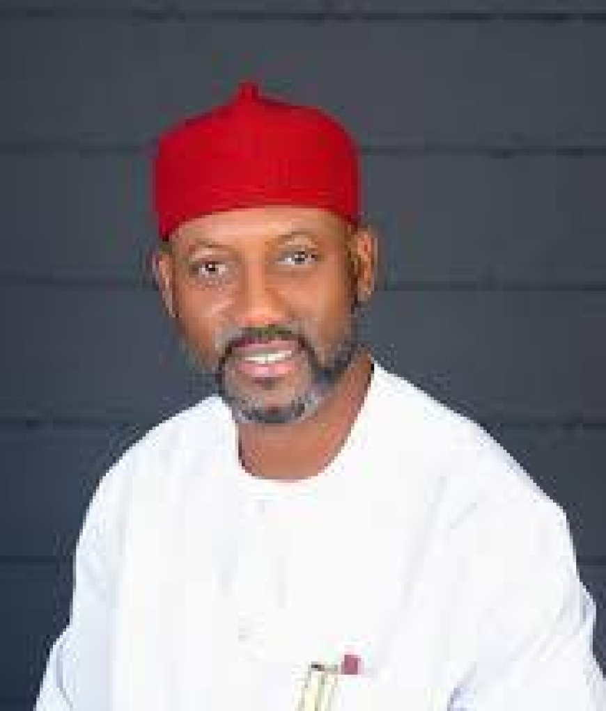 BREAKING: ‘Illegal convention cannot expel me’, Says Imo PDP chair