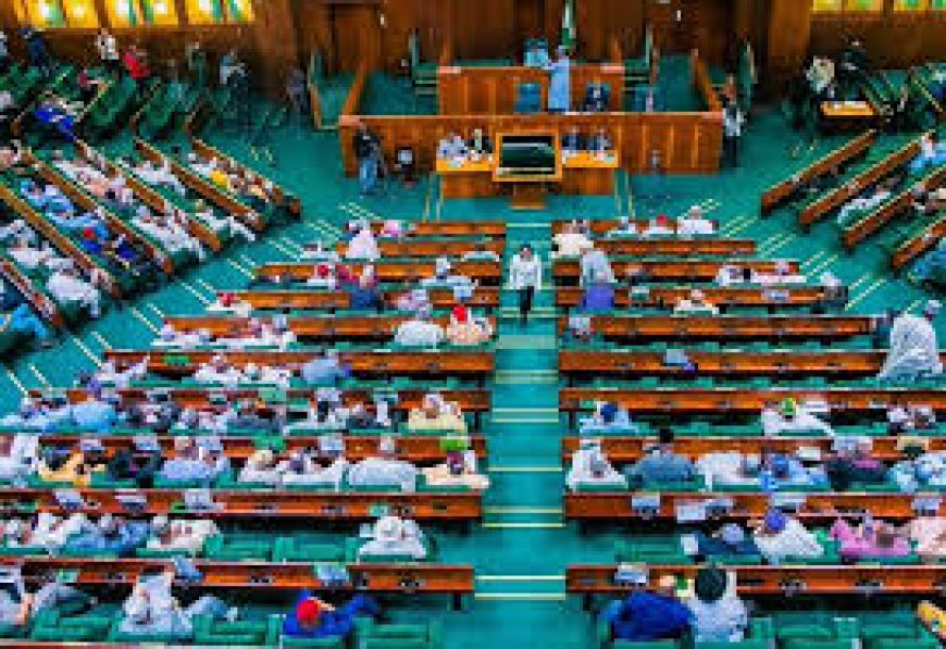 Rowdy Session in Senate Over Nigeria's Worsening Security Situation