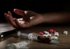 Communities Impose N10m Fines On Illicit Drug Consumption As Mental Cases Increase