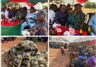 Yuletide: US-Based Afikpo Born Philanthropist, Onwa, Fetes Over 500 Elderly, Widows, Widowers in Ukpa Community