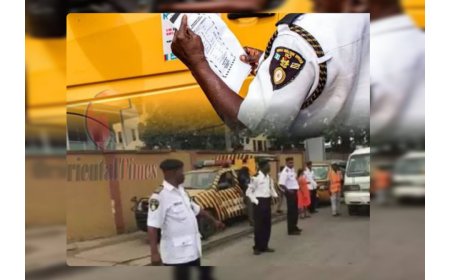 Appeal Court Upholds Ruling Restricting VIO From Stopping or Impounding Vehicles