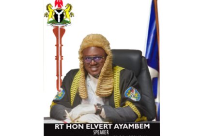 Bekwara LG Chairman Sacked Over Gross Misconduct