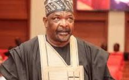 Senator Ningi Decries ‘Selective’ VIP Security Withdrawal