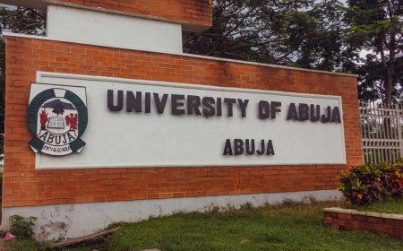 UniAbuja Professors Reject New VC Appointment Over Alleged Eligibility Breach