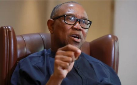 Peter Obi Calls for Independent Probe as Arrested Terrorists Allege Arms Supply by Government Officials