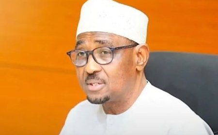 Farouk Ahmed Steps Down as NMDPRA Chief After Presidential Meeting