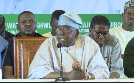 Tinubu tasks APC on state police, LG autonomy