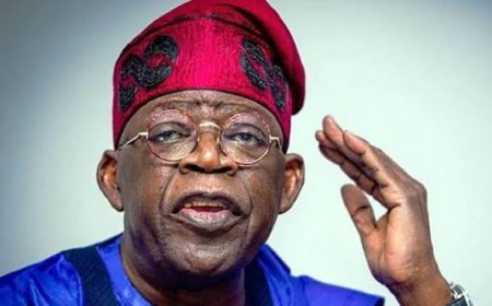 NDBDA Boss Praises Tinubu's Renewed Hope Agenda As He Turns 74