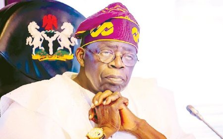 LG Autonomy Push Gathers Steam as States Retain N7.43tn Council Funds