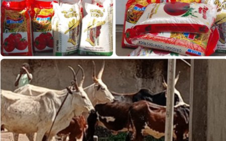 C’River: Otu Commends Obudu Ranch Workers with Christmas Gifts